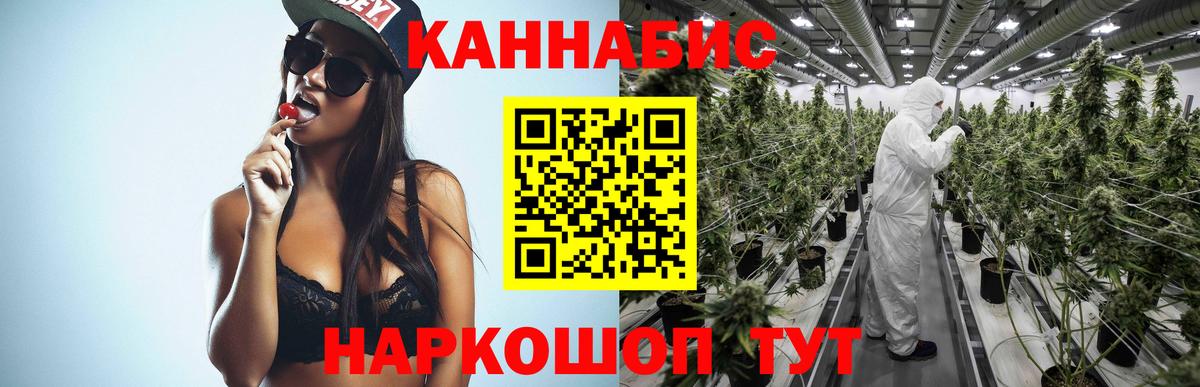 Конопля семена  Вход с VPN  Каннабис ГИДРОПОН  Тимашёвск  Конопля White Widow 